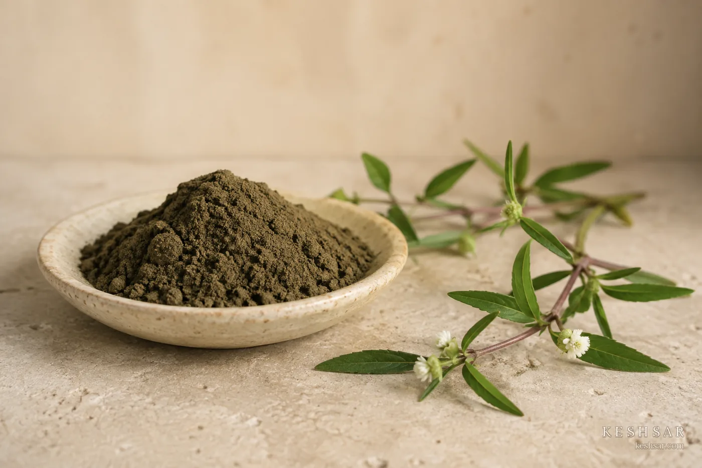Bhringraj botanical